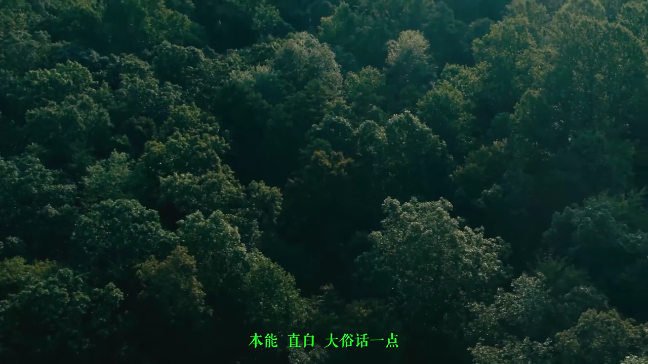 Plant Instinct: Before the human voice at 00:05
