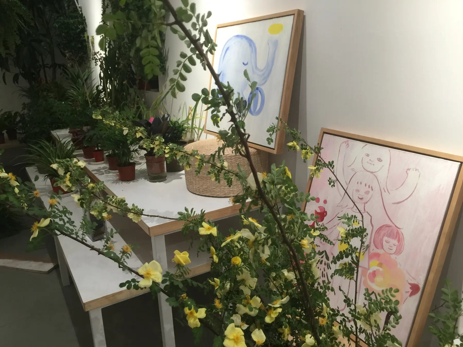 Plant and drawing detail