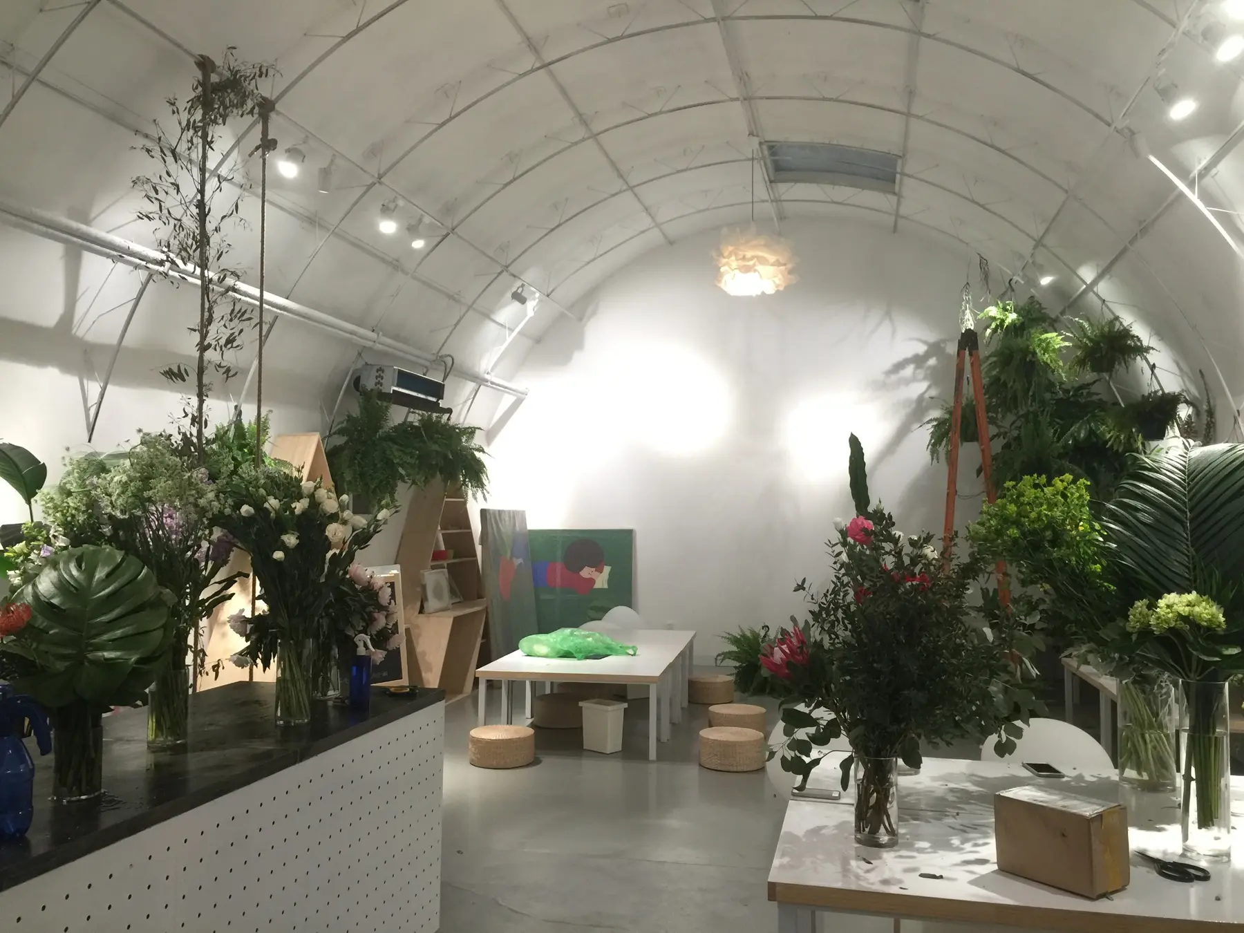 An installation room containing living plants, furniture and images