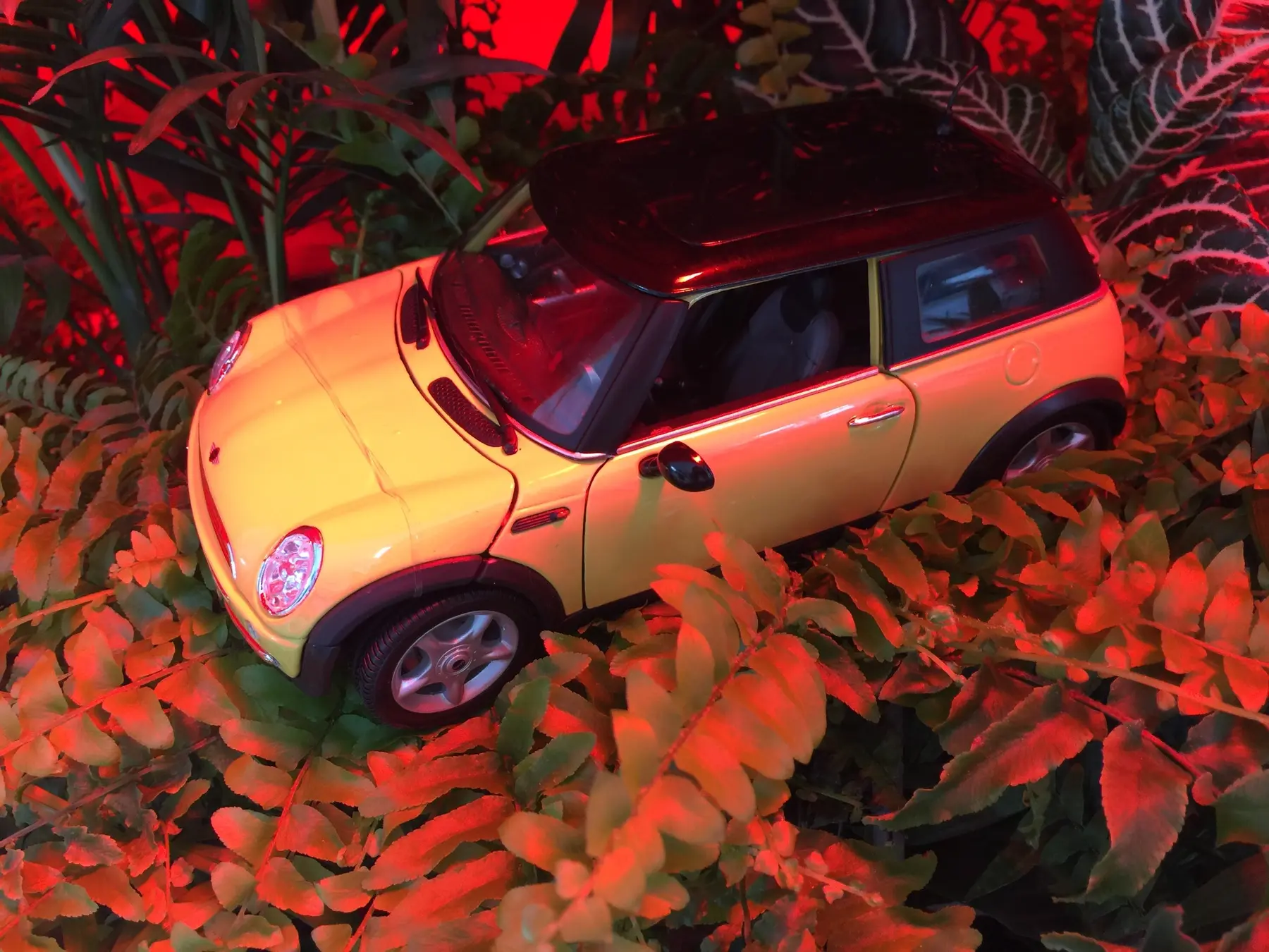 Red object in a garden-like setting