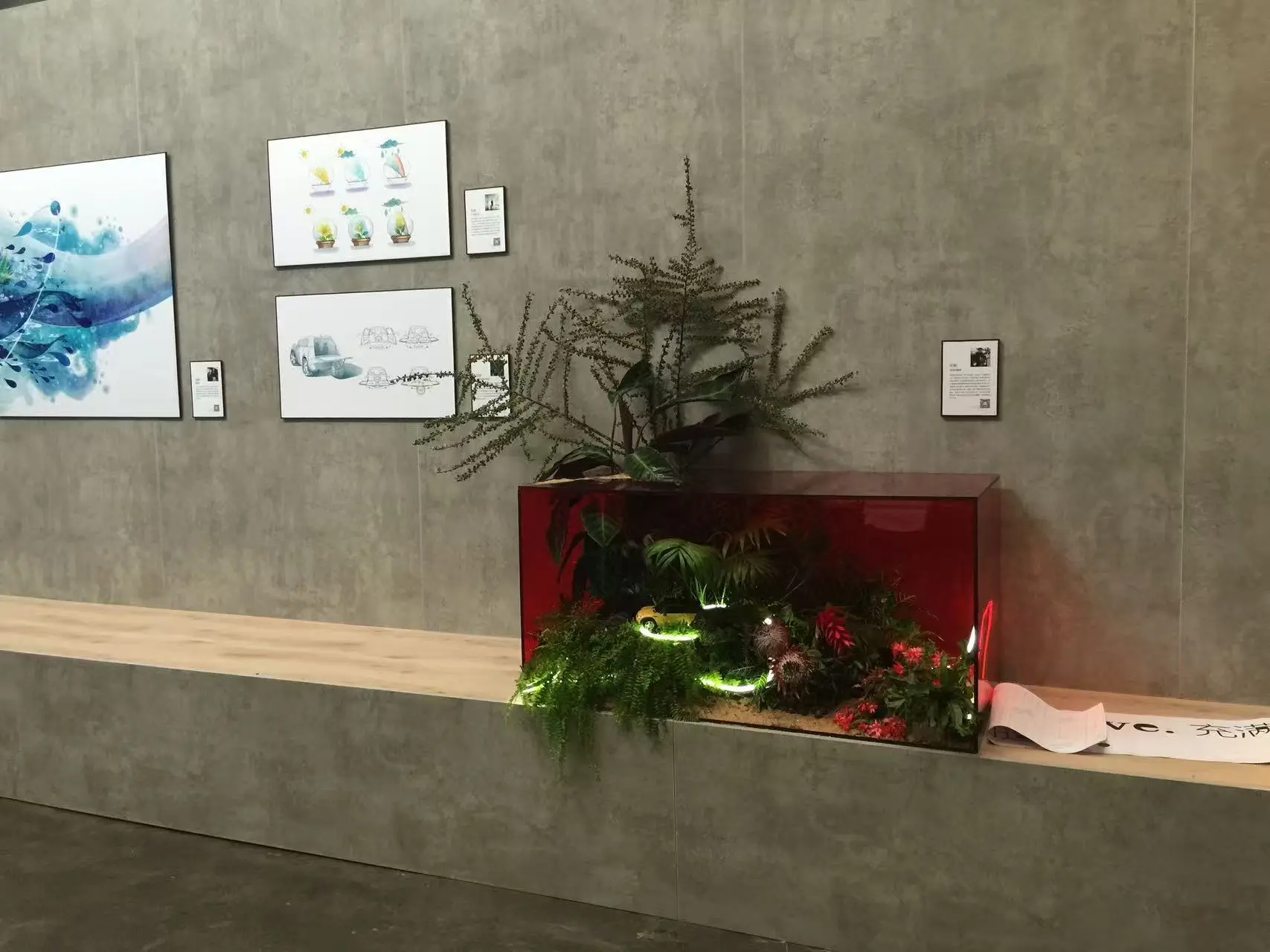 Installation with plant, image and light